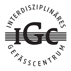 Logo Interdisziplinäres Gefäßzentrum